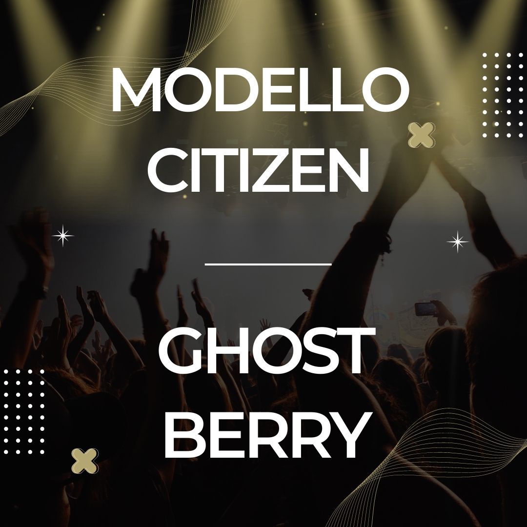 Modello Citizen And Ghostberry